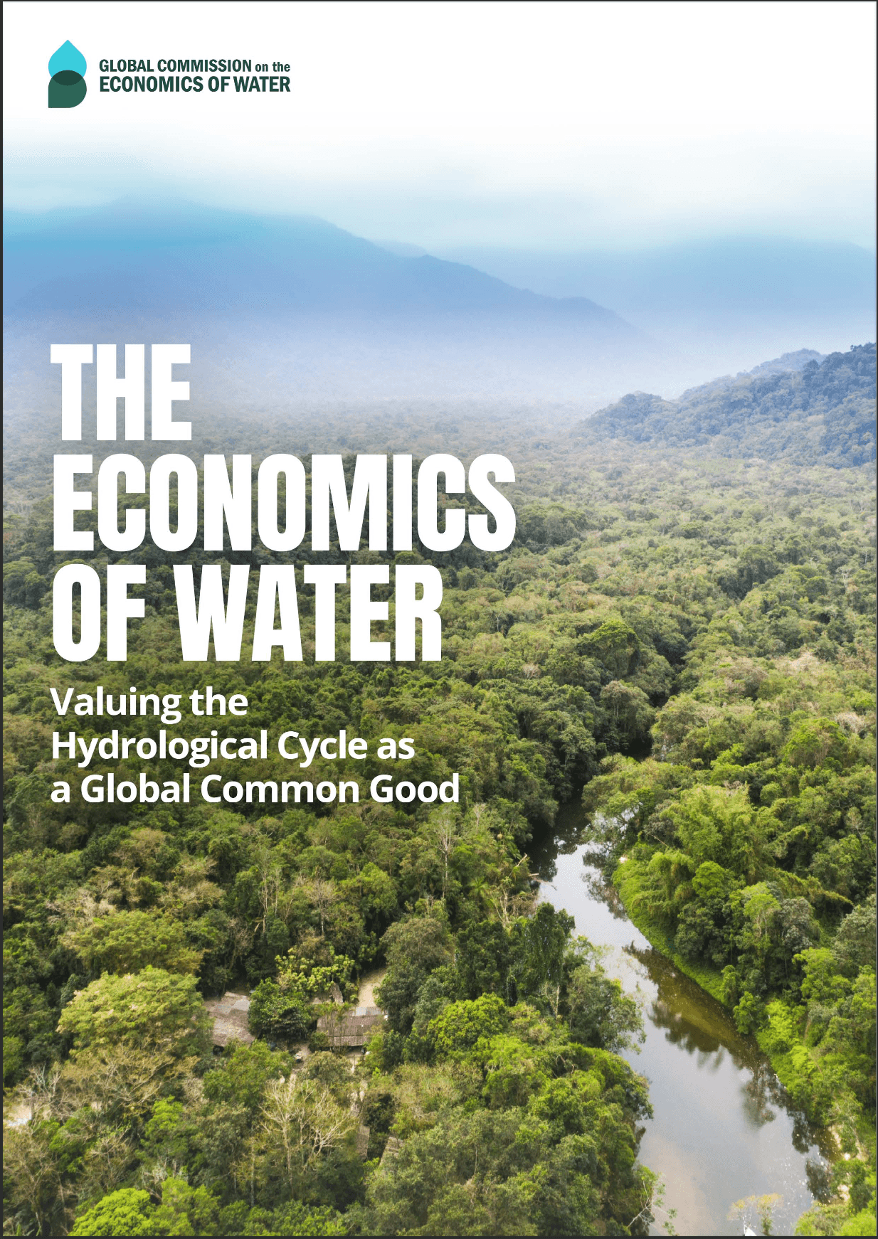 The Economics of Water — Valuing the Hydrological Cycle as a Global Common Good - Report