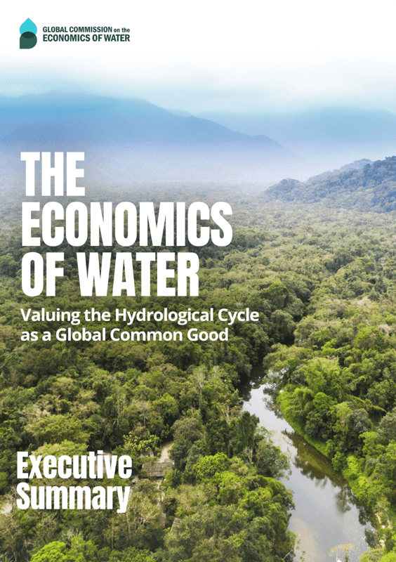 The Economics of Water — Valuing the Hydrological Cycle as a Global Common Good - Report